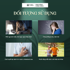 Trà Đàn hương Actiso túi lọc