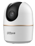 DH-H2AE