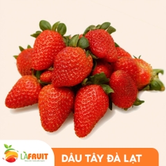 Dâu tây Đà Lạt