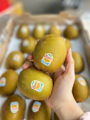 kiwi New Zealand size 22