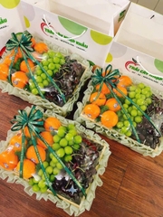 M-Khay quà tặng trái cây 09