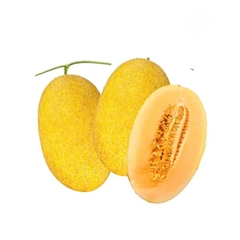 Dưa Lưới Vỏ Vàng