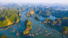 TOUR DU LỊCH ĐẢO NGỌC CÁT BÀ - VỊNH LAN HẠ 3 NGÀY 2 ĐÊM ( Thứ 5,6,7)