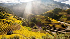 TOUR DU LỊCH HÀ NỘI - MÙ CANG CHẢI 2 NGÀY 1 ĐÊM