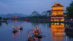 TOUR DU LỊCH NINH BÌNH - HOA LƯ - TAM CỐC - HANG MÚA 1 NGÀY - BUFFET 5 SAO