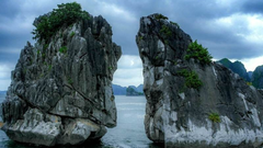 TOUR DU LỊCH HẠ LONG 2 NGÀY 1 ĐÊM NGỦ TÀU COZY 3 SAO