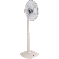 Quạt đứng KDK, màu vàng sâm banh M40K(CHG)