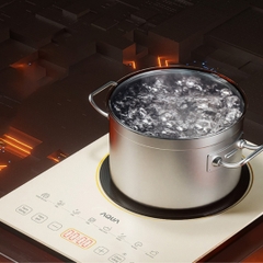 Bếp điện từ AQUA AQS- ICT2201R(C)- VN