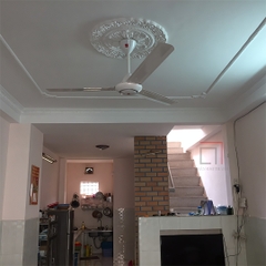 Quạt trần KDK, màu trắng bạc M60XG(SIL)