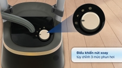 Bàn ủi hơi nước đứng Philips STE3170/80