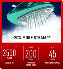 Bàn ủi hơi nước Tefal Express Steam FV2867E0 - 2500W