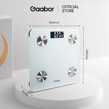 Cân điện tử GWS-M02A hiệu Gaabor