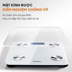 Cân điện tử GWS-M02A hiệu Gaabor