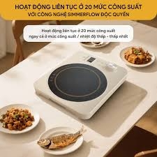 Bếp từ BLUESTONE ICB-6618