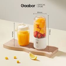 Máy xay sinh tố cầm tay FP03T-WH01A hiệu Gaabor