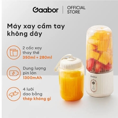 Máy xay sinh tố cầm tay FP03T-WH01A hiệu Gaabor