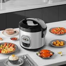 Nồi cơm điện RC20M-YE01A hiệu Gaabor
