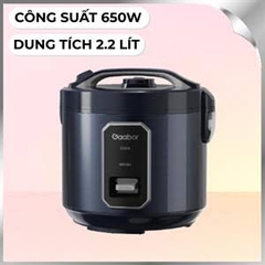 Nồi cơm điện RC50M-BE01A hiệu Gaabor