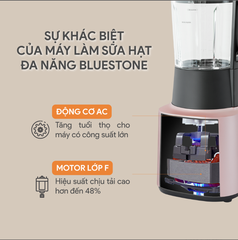Máy xay nấu đa năng BLUESTONE BLB-6029