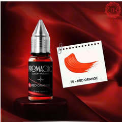 Mực Xăm Môi Promagic Chính Hãng – Master Nguyễn Hương PMU