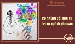 Có những đổi mới gì trong ngành yến sào