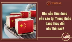 Nhu cầu tiêu dùng yến sào tại Trung Quốc đang thay đổi như thế nào?