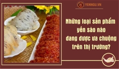 Những loại sản phẩm yến sào nào đang được ưa chuộng trên thị trường?