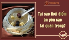 Tại sao thời điểm ăn yến sào lại quan trọng?