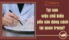 Tại sao việc chế biến yến sào đúng cách lại quan trọng?