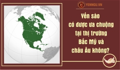 Yến sào có được ưa chuộng tại thị trường Bắc Mỹ và châu Âu không?