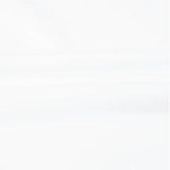 Áo thun tay dài Spring Feels