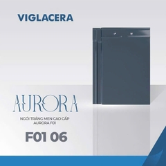 Ngói phẳng AURORA F01-06