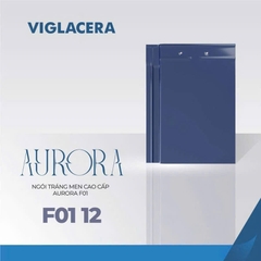 Ngói phẳng AURORA F01-12