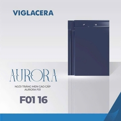Ngói phẳng AURORA F01-16