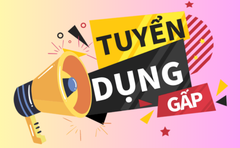 Tuyển dụng nhân viên kinh doanh - Đi làm ngay 2024