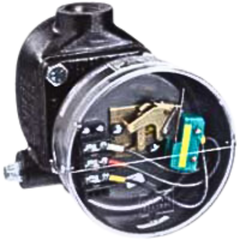 SERIES 123/125 – CÔNG TẮC MỨC (LEVEL SWITCHES)