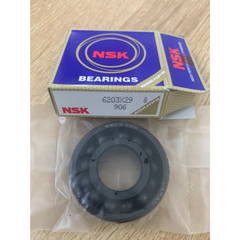 Bạc đạn sứ chịu nhiệt 6203X29 NSK