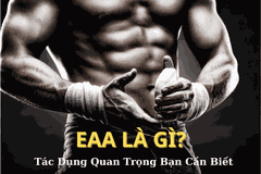 EAA là gì? Tác Dụng Quan Trọng của Axit Amin Thiết Yếu Bạn Cần Biết