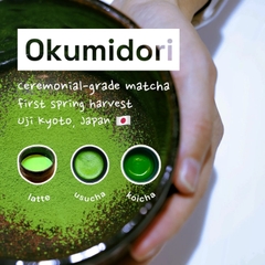 Chakami no Komorebi (Giống trà Okumidori) | Ceremonial Grade | Thu hoạch tại Kyoto, Nhật Bản