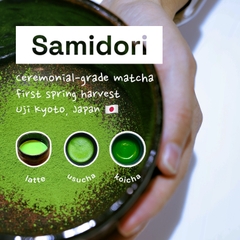 Chakami no Monogatari (Giống trà Samidori) | Ceremonial Grade | Thu hoạch tại Kyoto, Nhật Bản