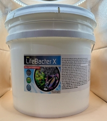 Lifebacter X - Vật liệu lọc sinh học hiệu suất tổng của Lifebacter L+S