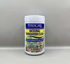Pondcare - Remediation Clean41 - Vi sinh yến mạch phân hủy hữu cơ tầng đáy