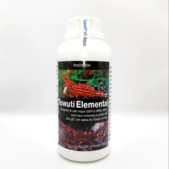 Towuti Elemental - Tái tạo môi trường toàn diện hồ Towuti cho Tép Sula