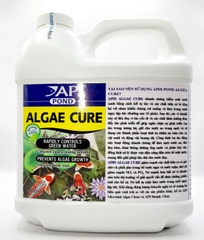 API - Algae Cure - Vi sinh ăn tảo Sống và kết tụ mây siêu trong, tiêu hao NO3 & PO4 nước Ngọt & Mặn