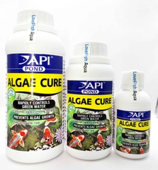 API - Algae Cure - Vi sinh ăn tảo Sống và kết tụ mây siêu trong, tiêu hao NO3 & PO4 nước Ngọt & Mặn