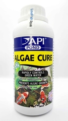 API - Algae Cure - Vi sinh ăn tảo Sống và kết tụ mây siêu trong, tiêu hao NO3 & PO4 nước Ngọt & Mặn