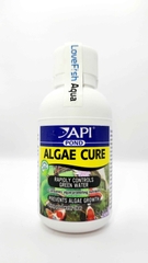 API - Algae Cure - Vi sinh ăn tảo Sống và kết tụ mây siêu trong, tiêu hao NO3 & PO4 nước Ngọt & Mặn