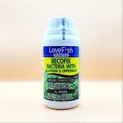 LoveFish - Becofix - Vi sinh bể Thủy sinh