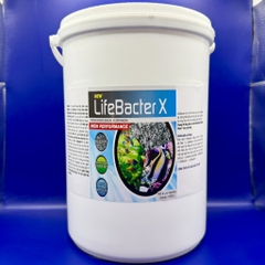 Lifebacter X - Vật liệu lọc sinh học hiệu suất tổng của Lifebacter L+S