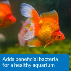 LoveFish - Goldfish Cleaner Protect - Vi sinh dị dưỡng, Ezyme & khử độc clo, cloramin, NH3, kim loại nặng mạnh nhất